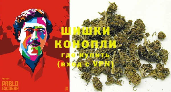 бошки Аркадак