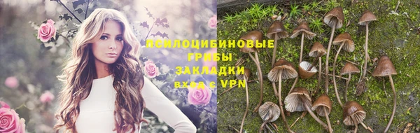 mdpv Армянск