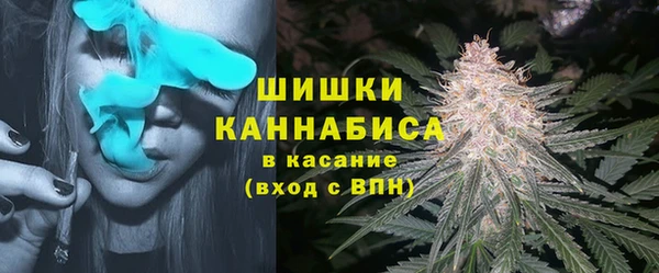 бошки Аркадак