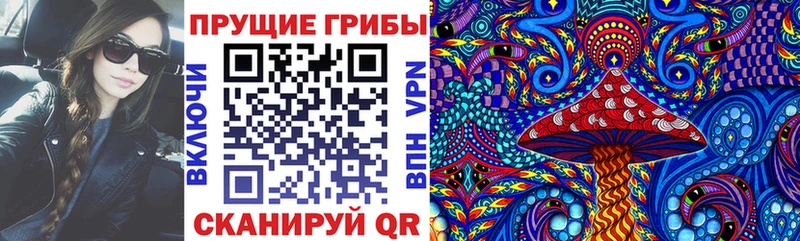 Галлюциногенные грибы MAGIC MUSHROOMS  закладка  Реж 